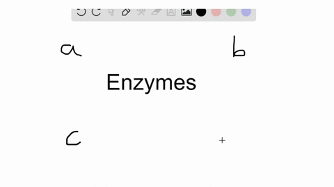 which-of-the-following-enzymes-is-matched-to-its-correct-nutrient-a-amylase-starch-b-lipase-fats-a-2