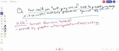 how-would-an-antipregnancy-vaccine-that-stimulates-a-womans-immune-system-to-develop-antibodies-agai