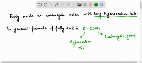 what-are-fatty-acids-draw-the-general-structure-of-a-fatty-acid