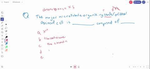 the-major-microtubule-organizing-center-of-the-animal-cell-is-a-quad-chromosomes-composed-of-chrom-3