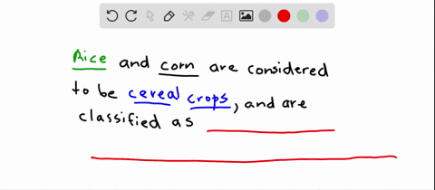 cereal-crops-such-as-rice-and-corn-are-______-a-monocots-b-vascular-plants-c-seed-plants-d-all-of-th