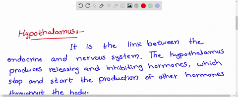 releasing-hormones-and-inhibiting-hormones-are-produced-by-a-pituitary-b-thyroid-c-thymus-d-hypothal
