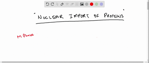 the-nuclear-import-of-proteins-larger-than-40-kda-requires-the-presence-of-what-amino-acid-sequence-