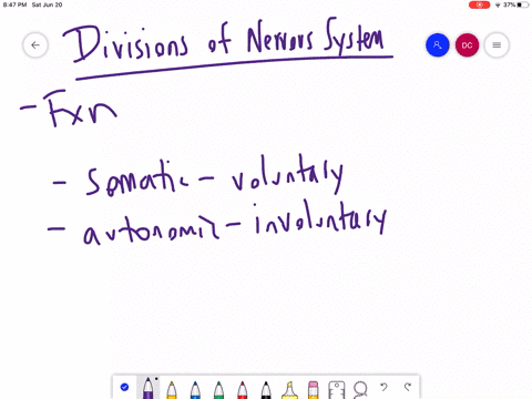 which-functional-division-of-the-nervous-system-would-be-responsible-for-the-physiological-changes-s