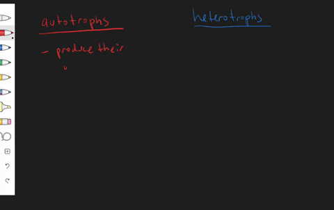short-answer-how-do-autotrophs-and-heterotrophs-differ-in-the-way-they-obtain-energy
