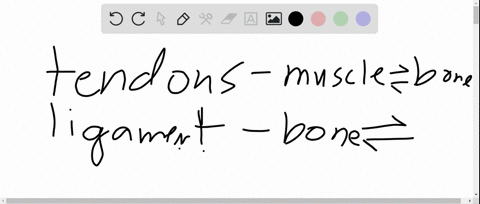 _____-holds-two-bones-together-at-a-joint-a-tendons-b-ligaments-c-cartilage-d-the-periosteum