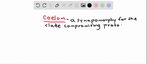 the-coelom-a-is-a-synapomorphy-for-the-clade-comprising-protostomes-and-deuterostomes-b-evolved-mult