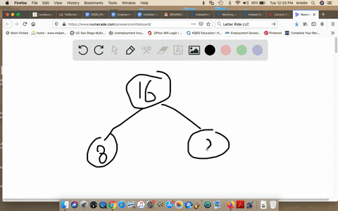 if-a-parent-cell-has-16-chromosomes-then-each-of-the-daughter-cells-following-meiosis-will-have-a-48