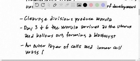 using-figure-3525-describe-the-locations-of-the-offspring-from-fertilization-to-birth