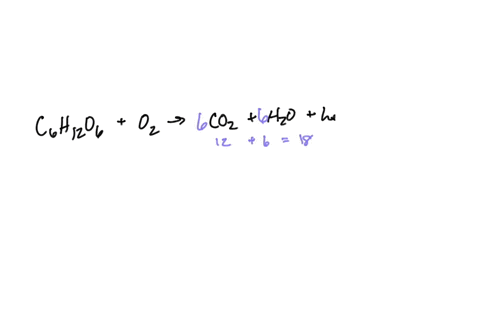a-during-cellular-respiration-mathrmc_6-mathrmh_12-mathrmo_6-glucose-in-the-cells-undergoes-combusti