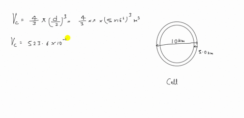 biology-a-typical-human-cell-is-approximately-10-mu-mathrmm-in-diameter-and-enclosed-by-a-membrane-t