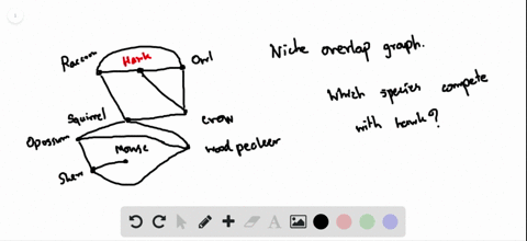 Graphs | Discrete Mathematics and its Application…