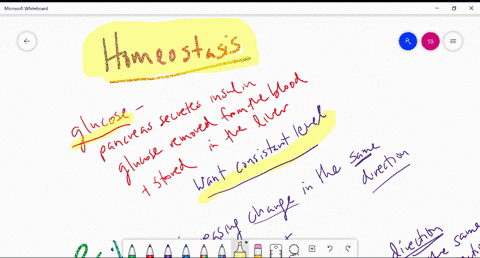 why-is-homeostasis-defined-as-the-relative-constancy-of-the-internal-environment-does-negative-feedb