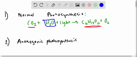 what-do-some-photosynthetic-bacteria-use-as-a-source-of-electrons-instead-of-water-a-oxygen-leftmath