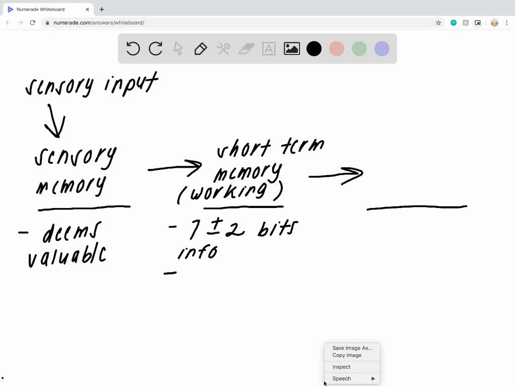 SOLVED:Label the three-stage memory model on the figure below: