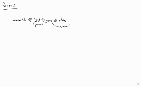 write-a-paragraph-that-describes-the-connections-among-the-following-terms-gene-nucleotide-allele--2
