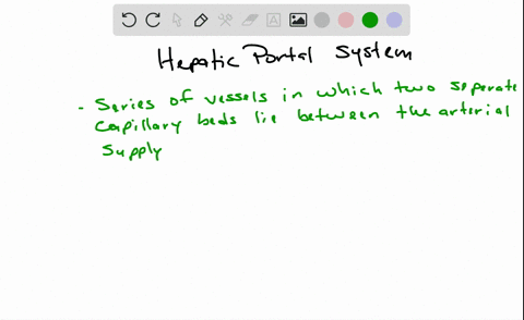 a-what-blood-vessels-contribute-to-the-formation-of-the-hepatic-portal-circulation-b-why-is-a-portal