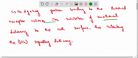 explain-why-loss-of-function-bedgehog-and-smoothened-mutations-yield-the-same-phenotype-but-a-loss-o