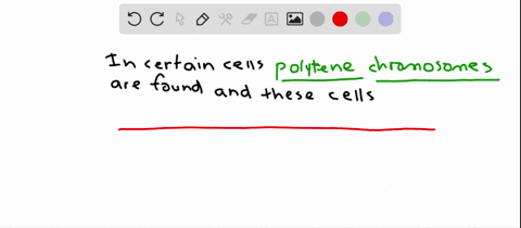 polytene-chromosomes-form-in-some-types-of-cells-that-__________-a-have-a-lot-of-chromosomes-b-are-m