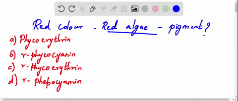 red-algae-are-red-due-to-the-presence-of-pigment-a-phycoerythrin-b-r-phycocyanin-c-r-phycoerythrin-d