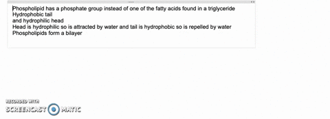 how-does-the-structure-of-a-phospholipid-differ-from-a-triglyceride-describe-the-arrangement-of-phos