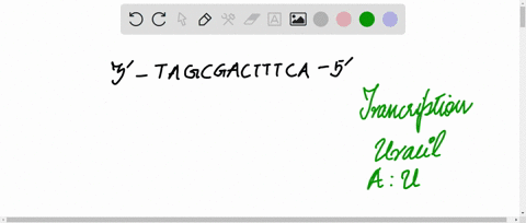 a-segment-of-one-strand-of-a-double-stranded-dna-molecule-has-the-sequence-5-actttcagcgat-3-what-is-