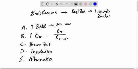 which-of-the-following-is-the-most-important-and-most-general-characteristic-of-endotherms-adapted-2