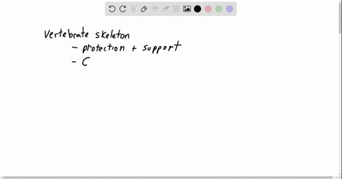 which-if-any-of-the-following-is-not-a-function-of-the-vertebrate-skeleton-a-structural-support-b--2