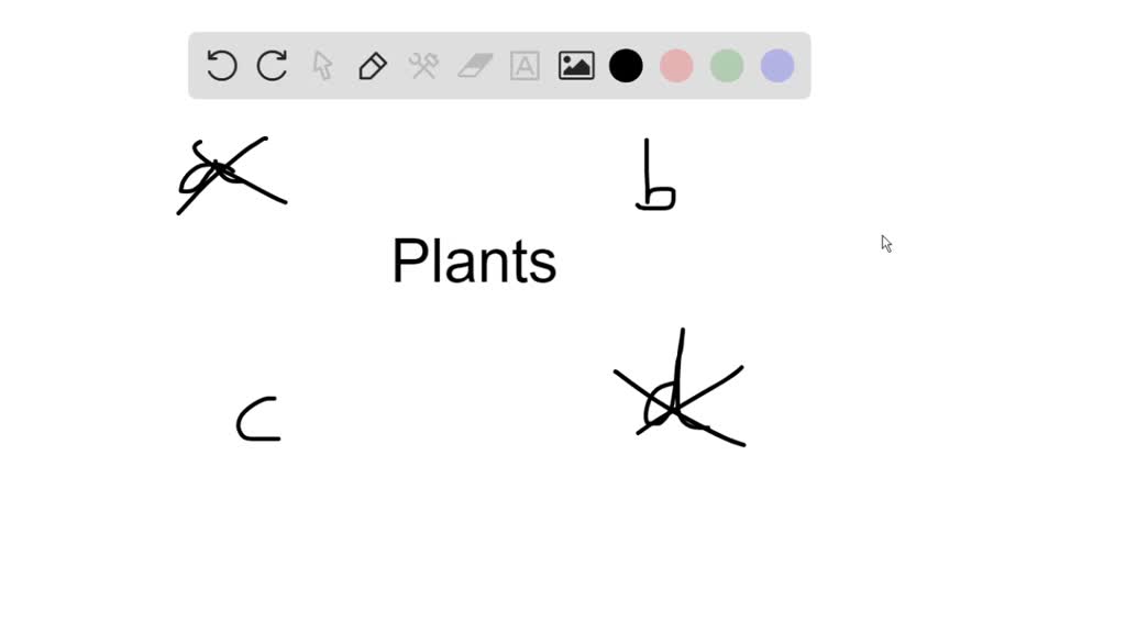 SOLVEDWhich does not apply to gymnosperms or angiosperms? a. vascular