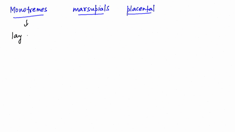 how-does-fetal-development-differ-in-the-monotremes-marsupials-and-placental-mammals