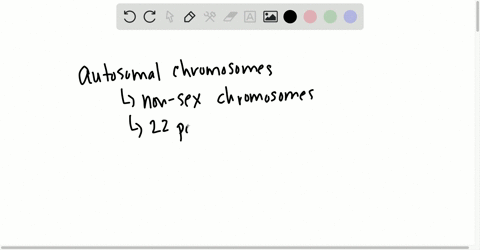 the-genetic-sex-of-a-human-is-determined-by-a-ploidy-with-the-male-being-haploid-b-the-y-chromosom-2