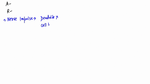 assertion-nerve-impulse-can-never-be-transmitted-from-dendrite-or-cell-body-of-one-neuron-to-the-axo