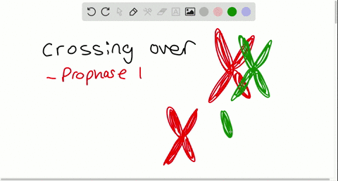 the-probability-of-a-crossover-occurring-between-two-genes-on-the-same-chromosome-_______-a-is-unr-2