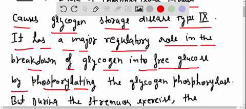 a-strain-of-mice-has-been-developed-that-lack-the-enzyme-phosphorylase-kinase-yet-after-strenuous-ex