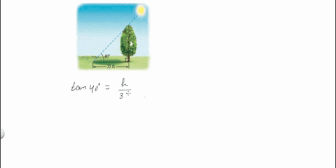 at-a-certain-time-of-day-the-angle-of-elevation-of-the-sun-is-40-to-the-nearest-foot-find-the-height