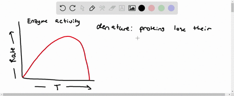 the-graph-shows-the-effect-of-temperature-on-enzyme-activity-explain-why-the-graph-has-the-general-2
