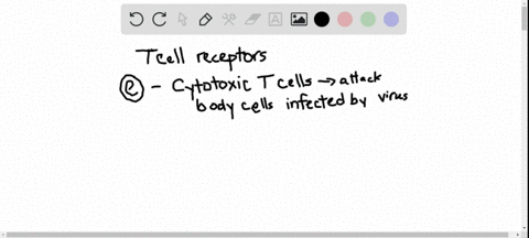 t-cell-receptors-a-are-the-primary-receptors-for-the-humoral-immune-system-b-are-carbohydrates-c-c-3