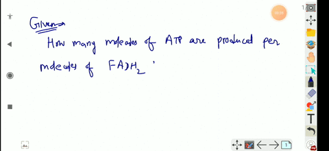 how-many-molecules-of-atp-are-produced-per-molecule-of-fadh-_2-oxidized-a-one-b-two-c-three-d-four