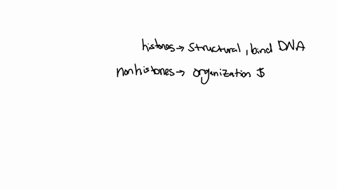 many-proteins-other-than-histones-are-found-associated-with-chromosomes-what-roles-do-these-nonhisto