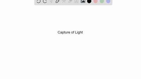the-________-determines-the-amount-of-light-that-enters-the-eye-a-retina-b-cornea-c-pupil-d-fovea