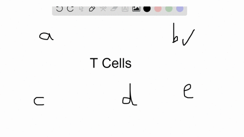 which-of-the-following-characteristics-pertains-to-t-cells-a-have-specific-receptors-b-are-of-more-2