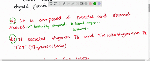 which-of-the-following-is-incorrect-about-thyroid-gland-a-it-is-composed-of-follicles-and-stromal-ti