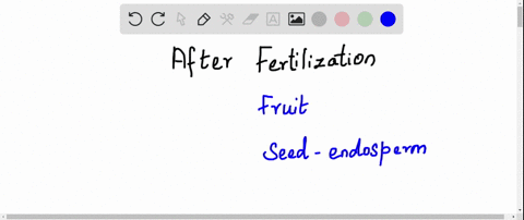 after-fertilization-the-______-develops-into-a-fruit-and-the-______-develops-into-a-seed-a-ovary-ovu