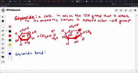 define-the-terms-glycoside-and-glycosidic-bond-3