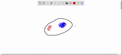 which-of-the-following-structures-of-a-eukaryotic-cell-is-not-likely-derived-from-endosymbiotic-bact
