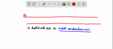 a-root-endodermis-is-a-an-innermost-layer-of-cortex-cells-that-display-characteristic-casparian-stri