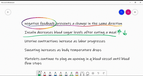 which-of-the-following-is-an-example-of-negative-feedback-a-uterine-contractions-increase-as-labor-p
