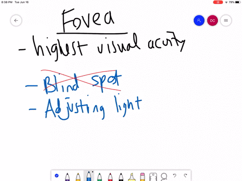 the-fovea________-a-is-a-blind-spot-b-adjusts-the-amount-of-light-entering-the-eye-c-integrates-sign