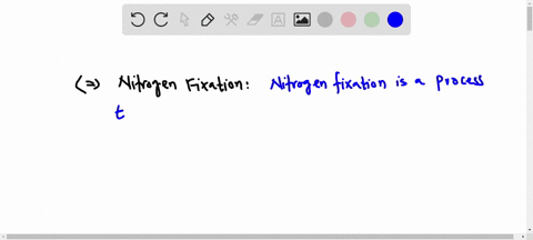 what-is-nitrogen-fixation-why-is-it-important