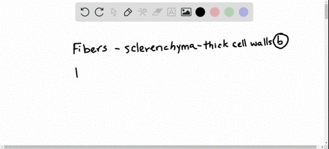 in-plants-fibers-are-a-type-of-__________-cell-a-parenchyma-b-sclerenchyma-c-collenchyma-d-mesophyll